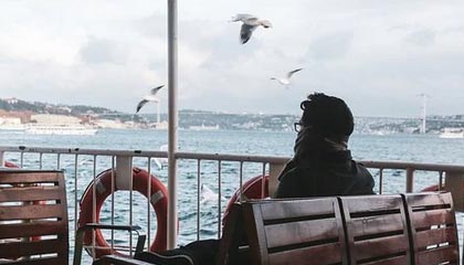 搏击俱乐部坐骑